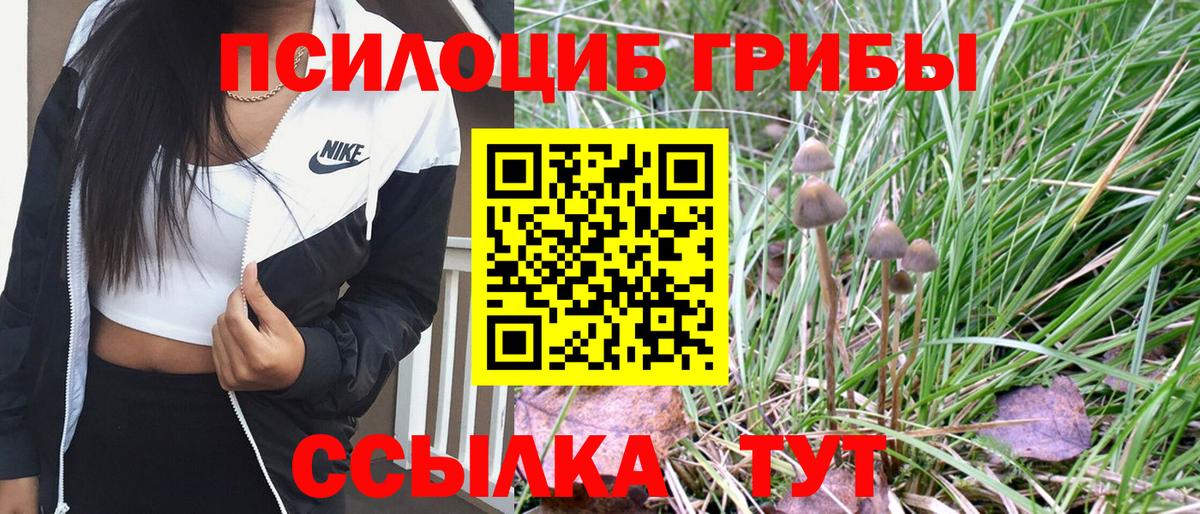 Псилоцибиновые грибы Psilocybe  Вход с VPN  Благодарный 